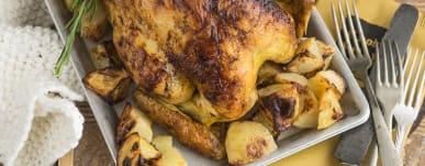 Pollo & Friends