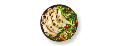Veggie Gyoza Udon