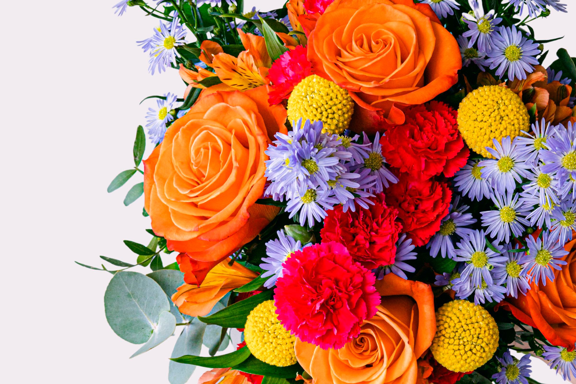 Envío de flores online: Floraqueen cerca de ti en Just Eat