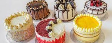 Cake Owls