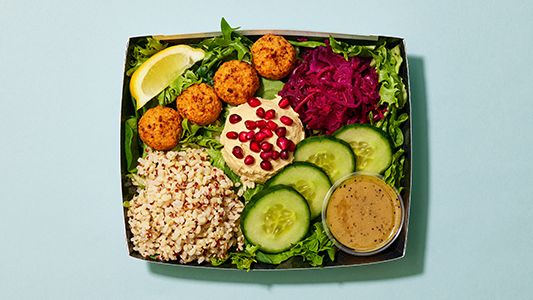 Humous and Falafel Mezze