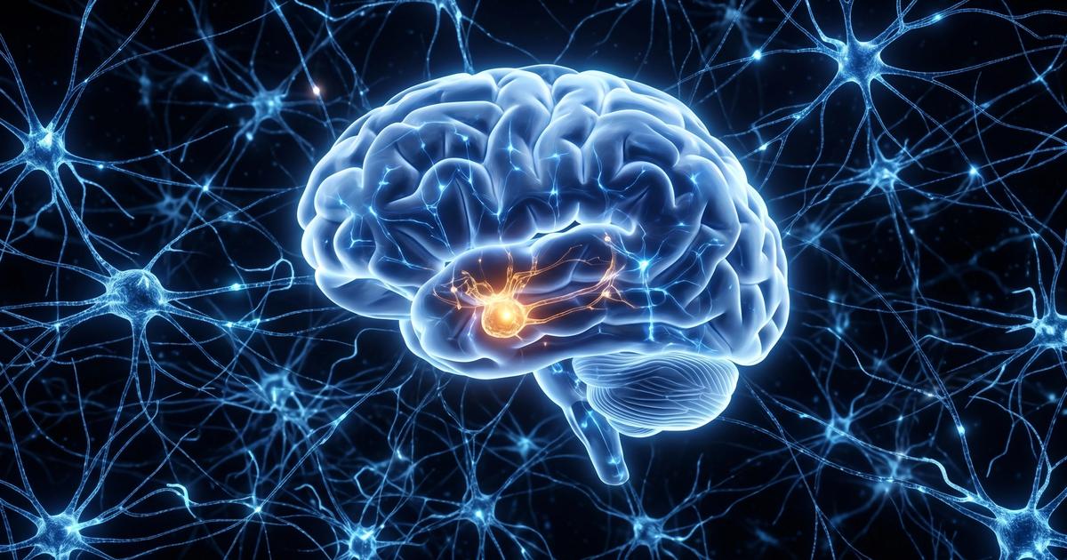 Scientists discover brain circuit in amygdala that controls anxiety and depression fixing it reversed symptoms in mice 2026