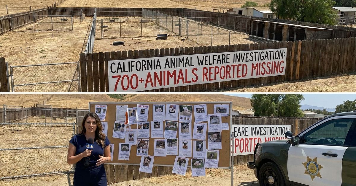 More than 700 animals are unaccounted for in a widening Humboldt County investigation into Miranda's Rescue in Fortuna, California.
