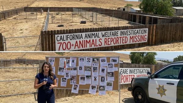 700+ Animals Missing in Widening California Cruelty Case