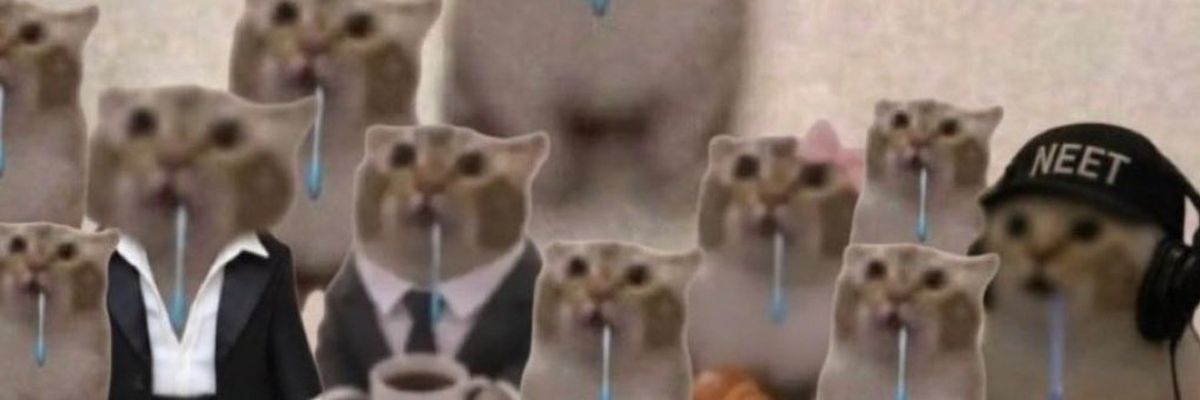What Is $DROOLING? The Solana Meme Coin Behind Drooling Cat