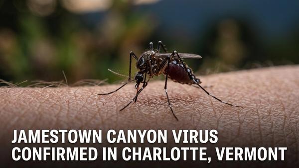 Jamestown Canyon Virus Confirmed in Charlotte, Vermont