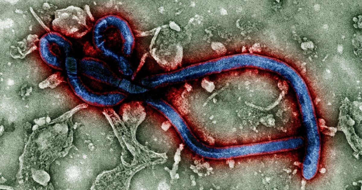 France has confirmed its first Ebola case linked to the DRC outbreak — a doctor who returned from a humanitarian mission and has been admitted to a specialist isolation facility.