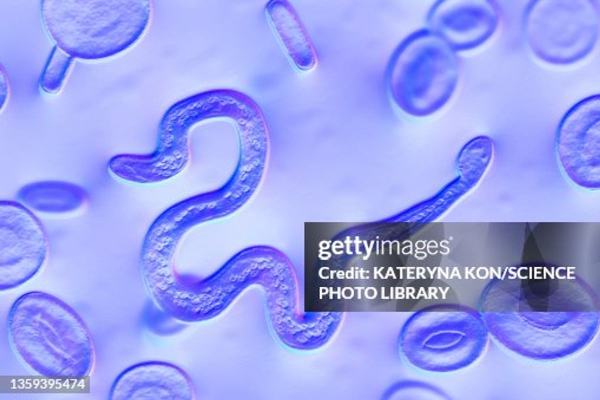 CDC Tracks Cyclospora Cases as Source Remains Unknown