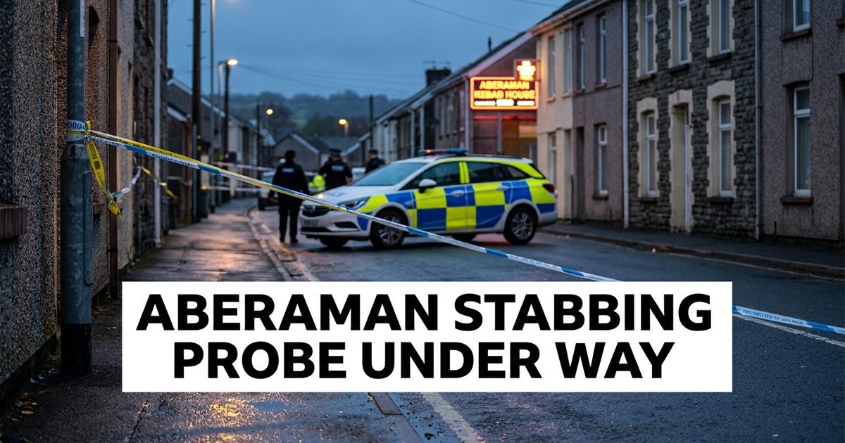 Aberaman attempted murder investigation launched after teenager seriously injured in stabbing.