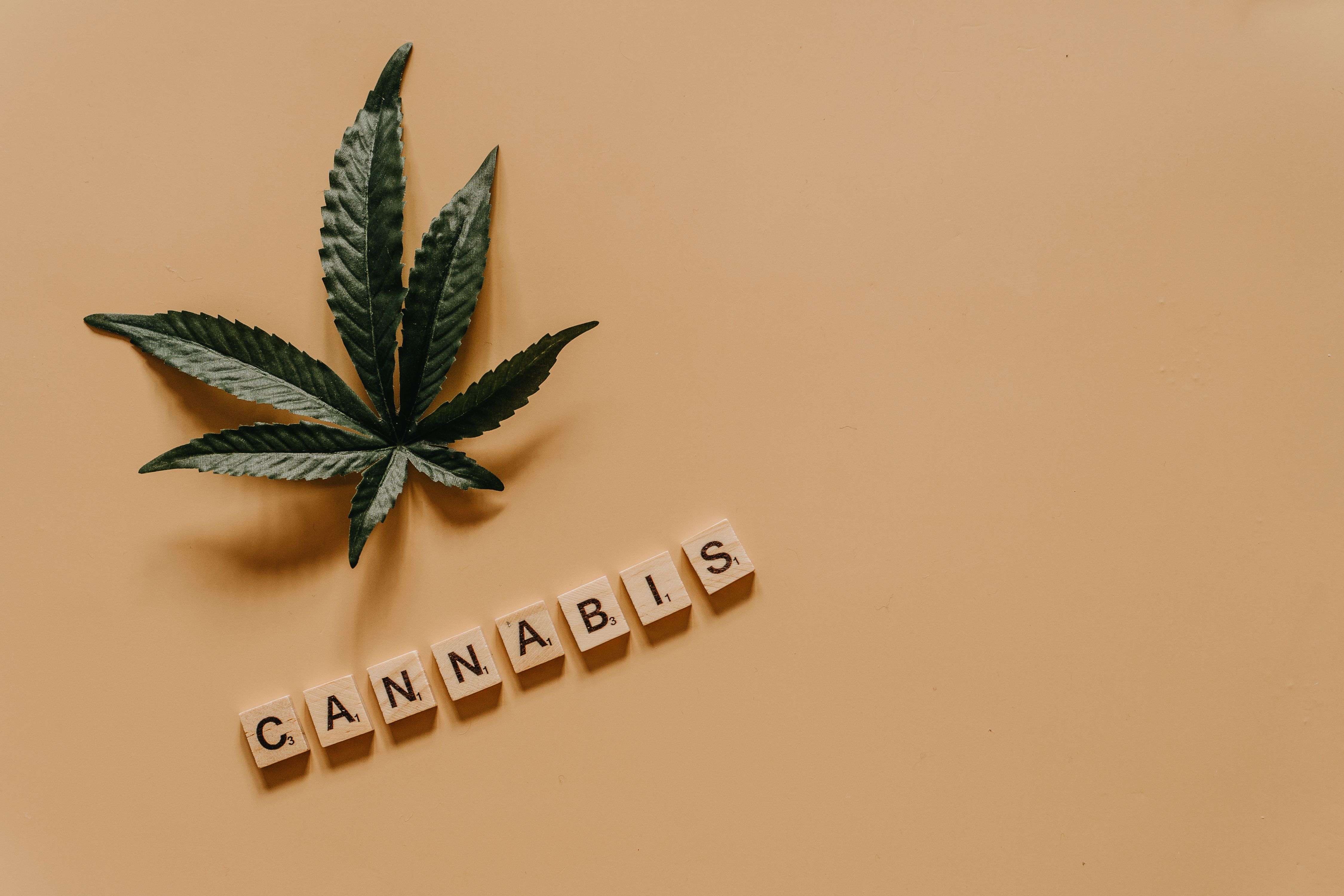 Cannabis Brain Research Reveals a Surprising Age Divide