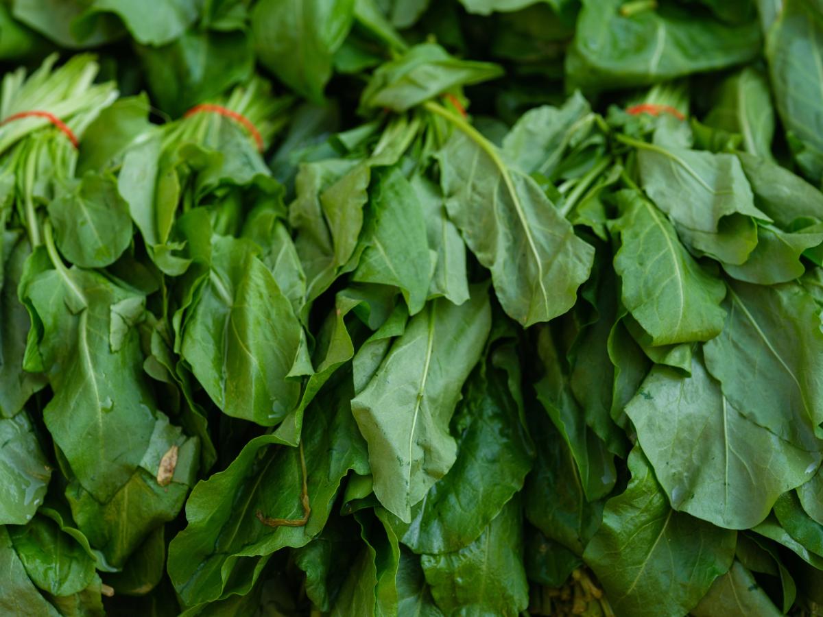Best Iron Rich Foods for Vegetarians
