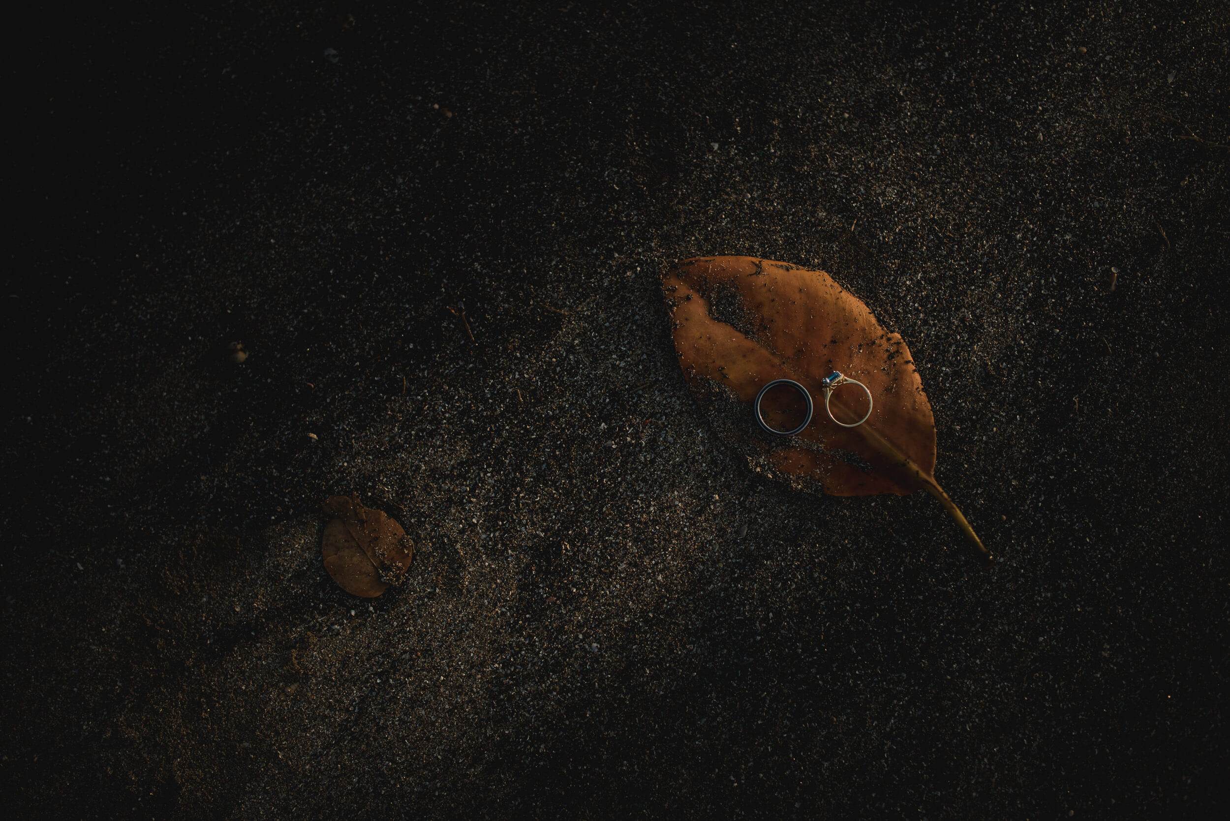 Wedding rings rest on a brown autumn leaf against dark wet ground in Goa