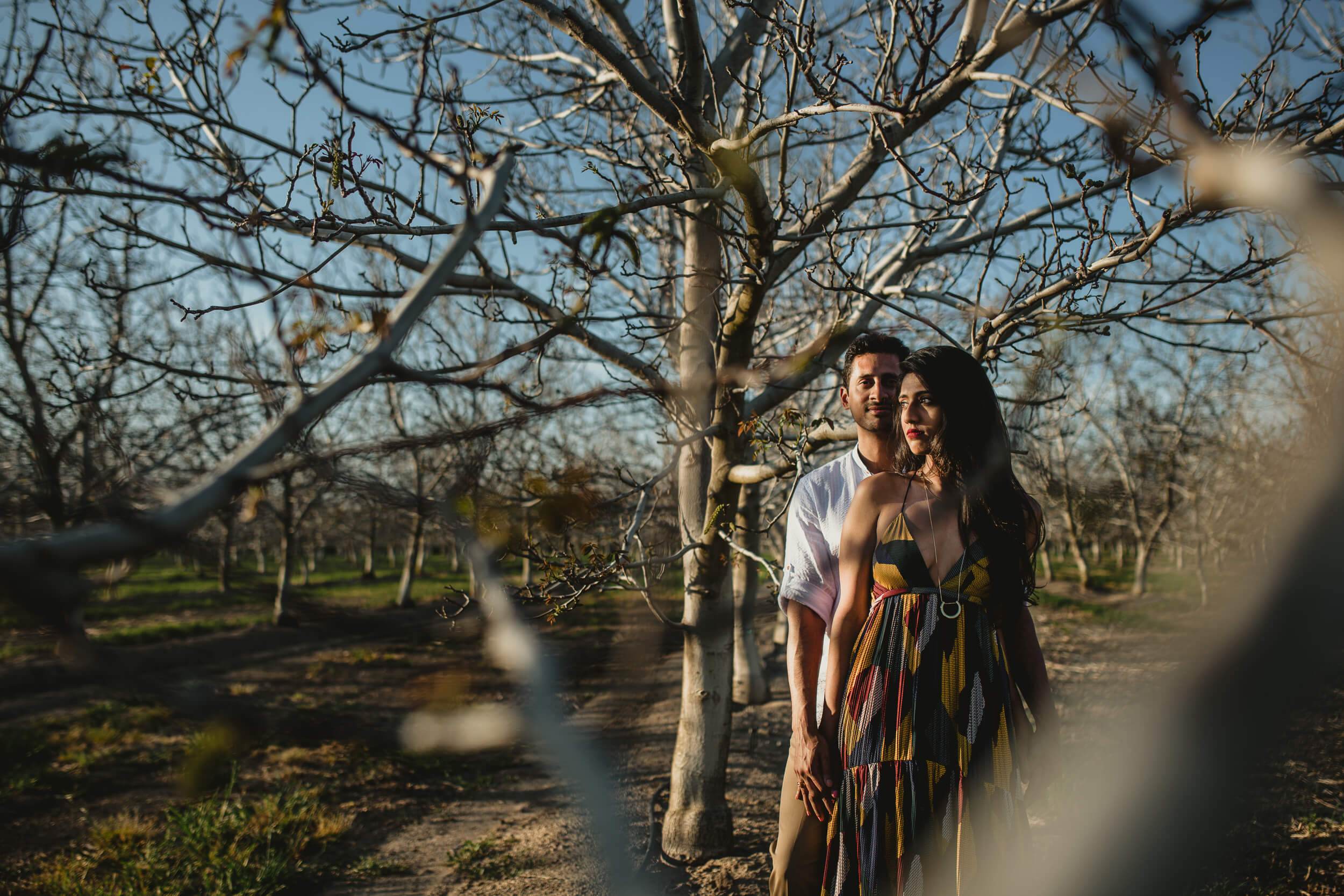 Anu and Raghu stand beneath bare trees in a California orchard, golden light filtering through branches