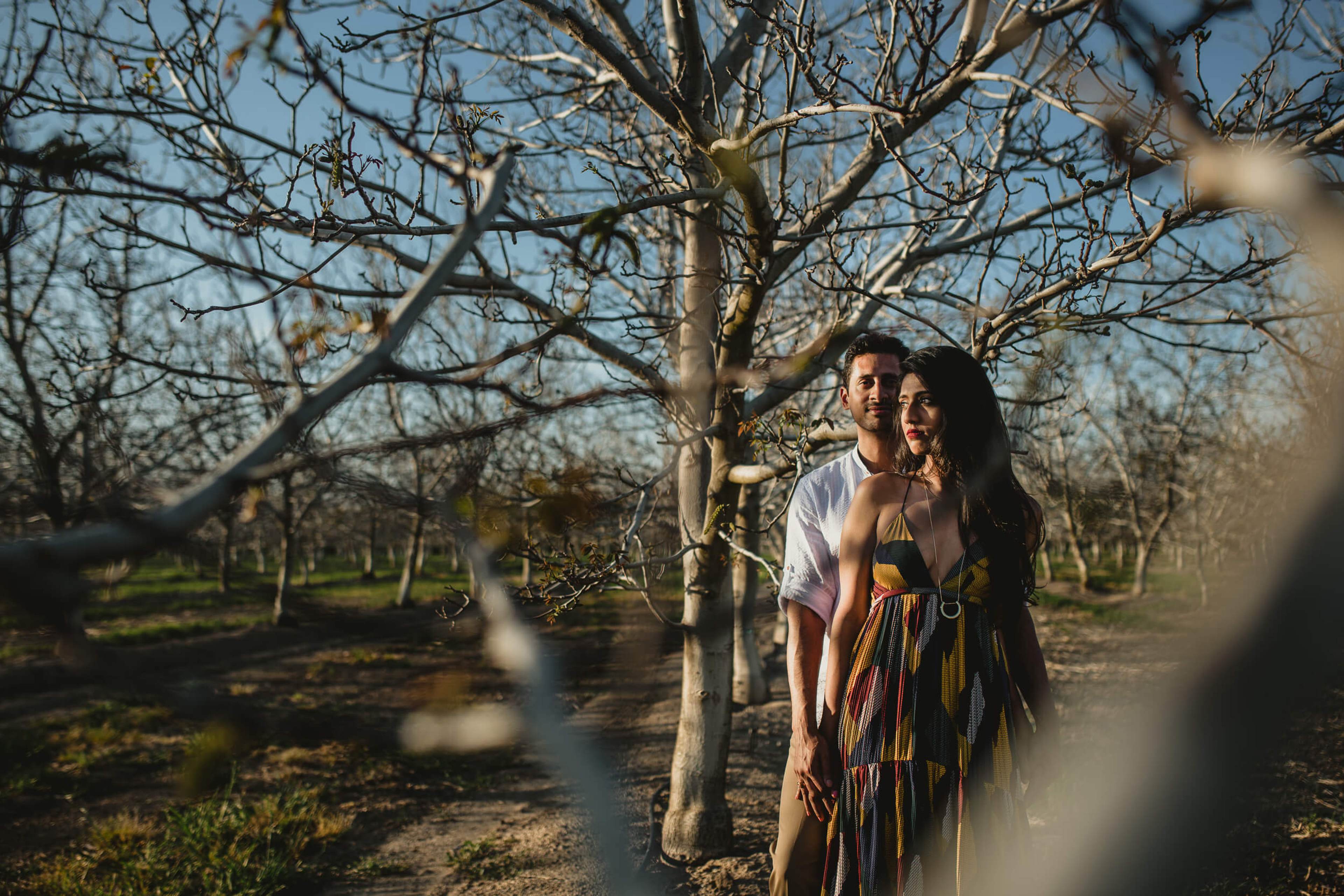 Anu and Raghu stand beneath bare trees in a California orchard, golden light filtering through branches
