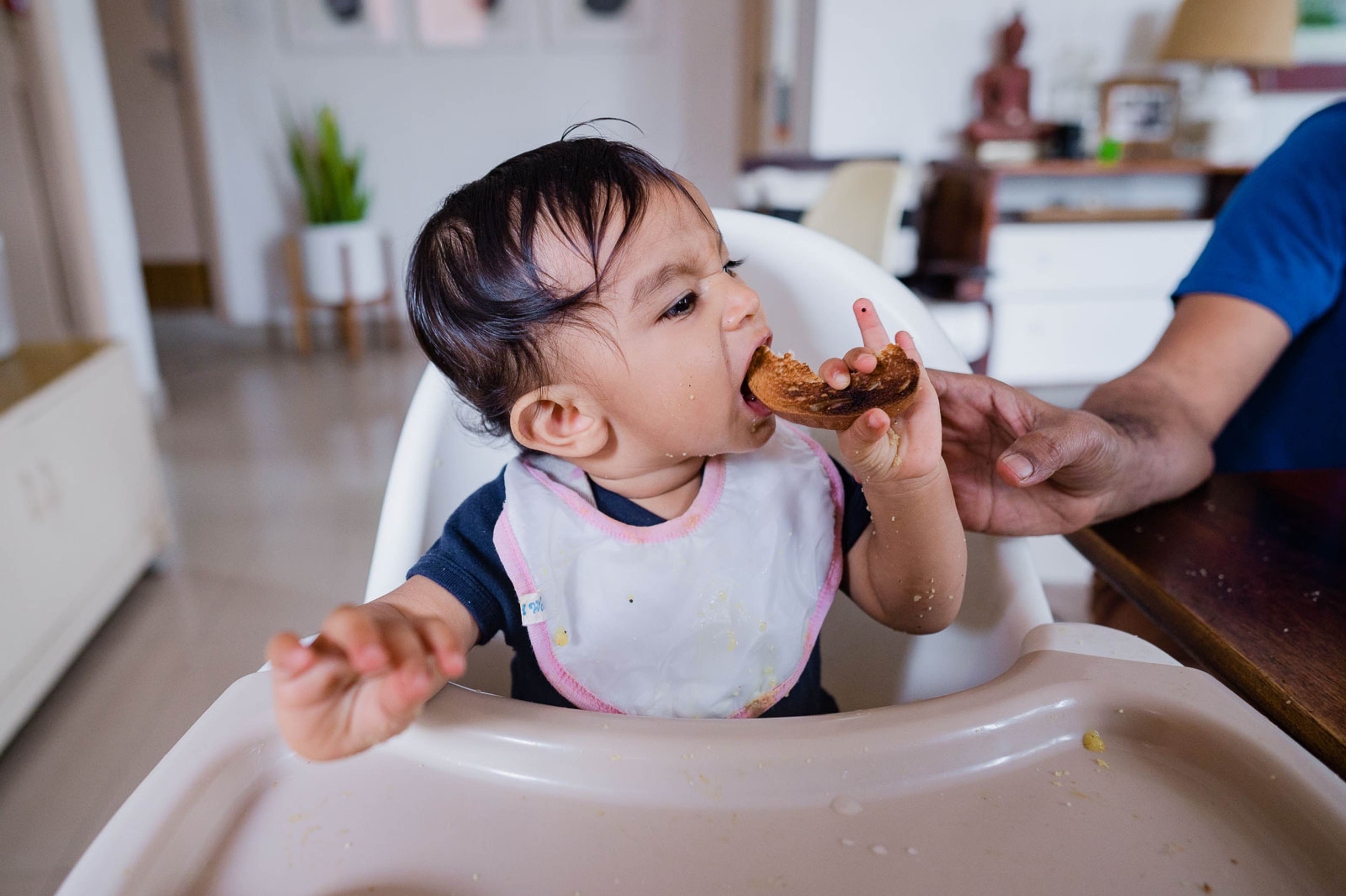 Toddler in high chair eating cookie held by adult's hand, kitchen background