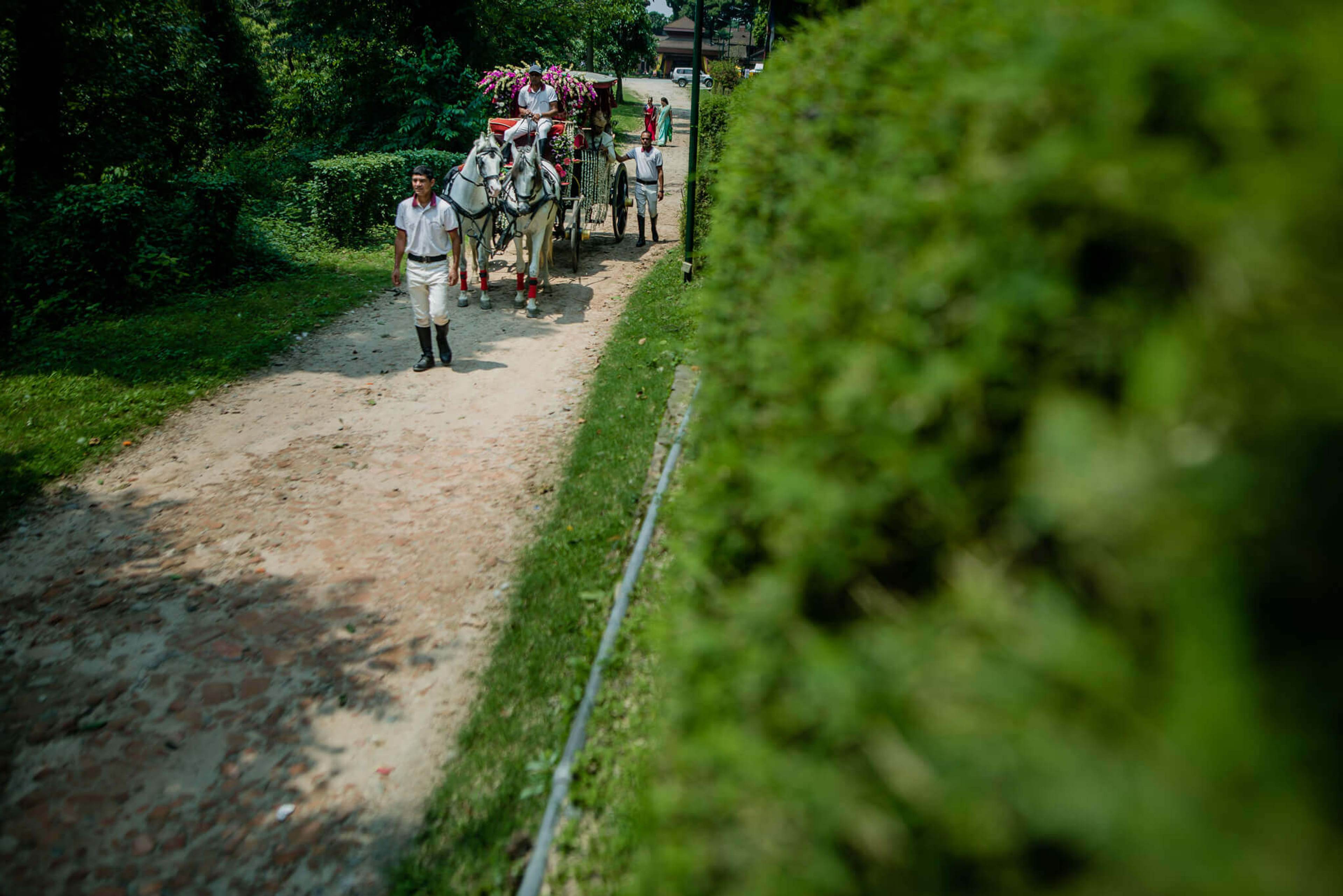 Anu and Raghu's wedding procession walks down a leafy Nepal path with floral decorations and guests