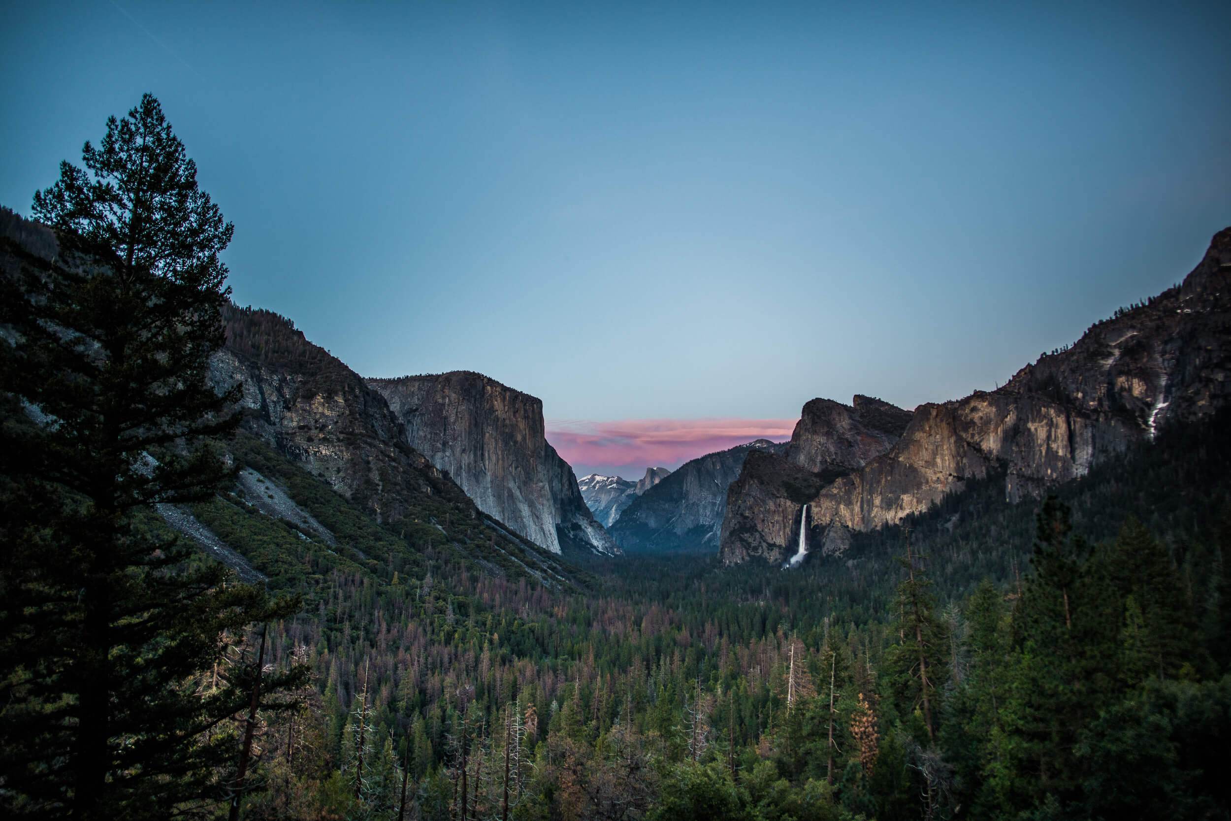Yosemite Valley at dusk, granite cliffs and pine forest beneath pink-streaked sky, California
