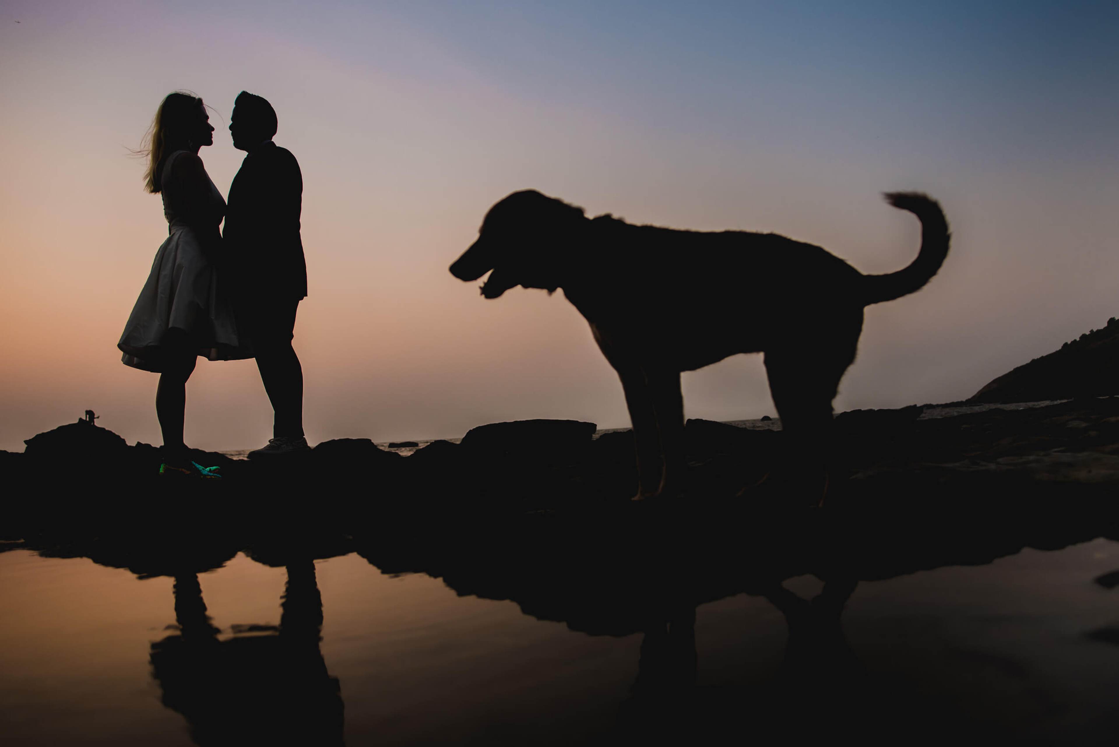Silhouetted couple with dog at sunset reflecting in water, Goa