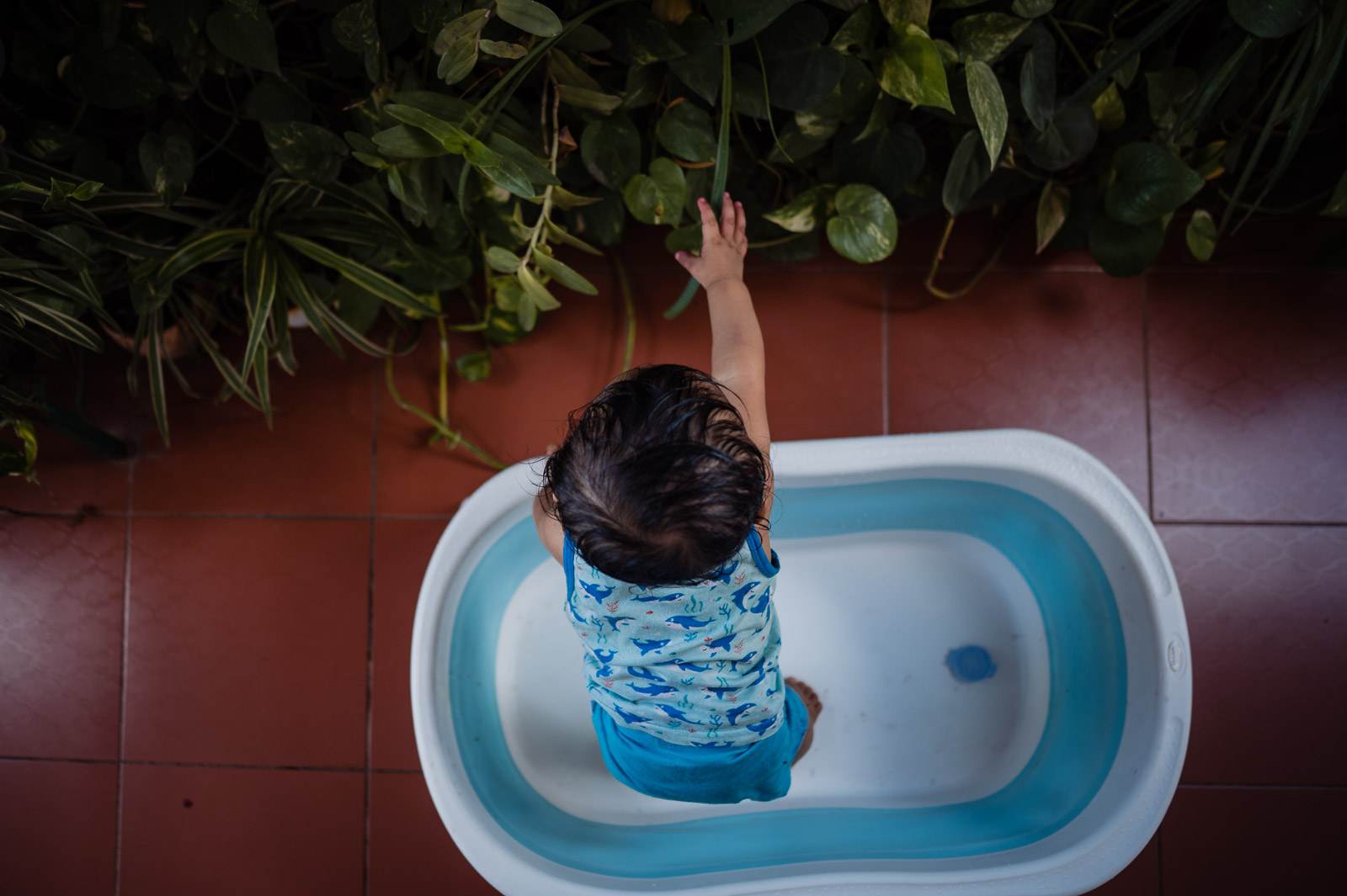 Child in blue batik fabric soaking in basin, reaching toward hanging green plants overhead