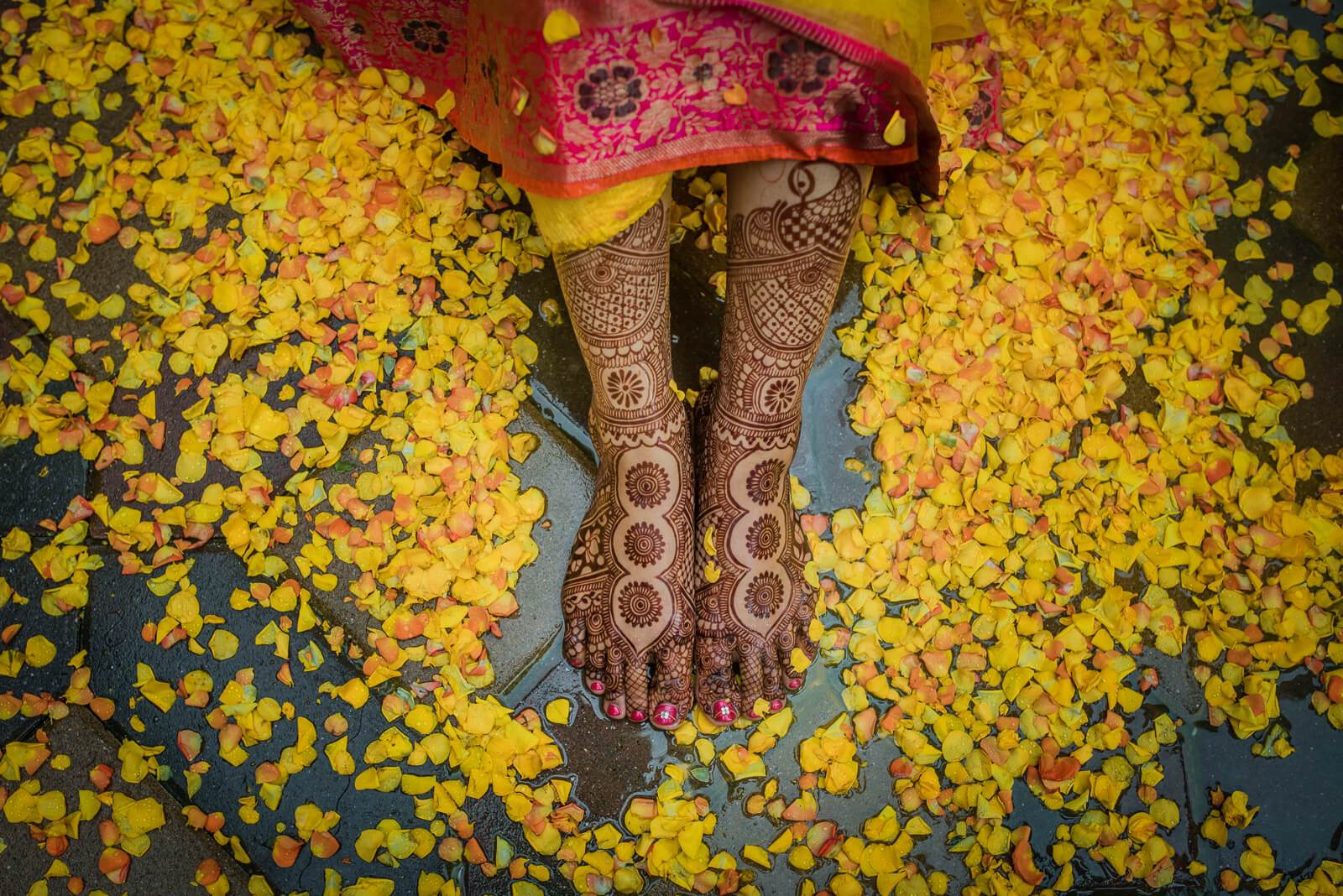 Bride's henna-decorated feet and pink dupatta surrounded by yellow marigolds in New York