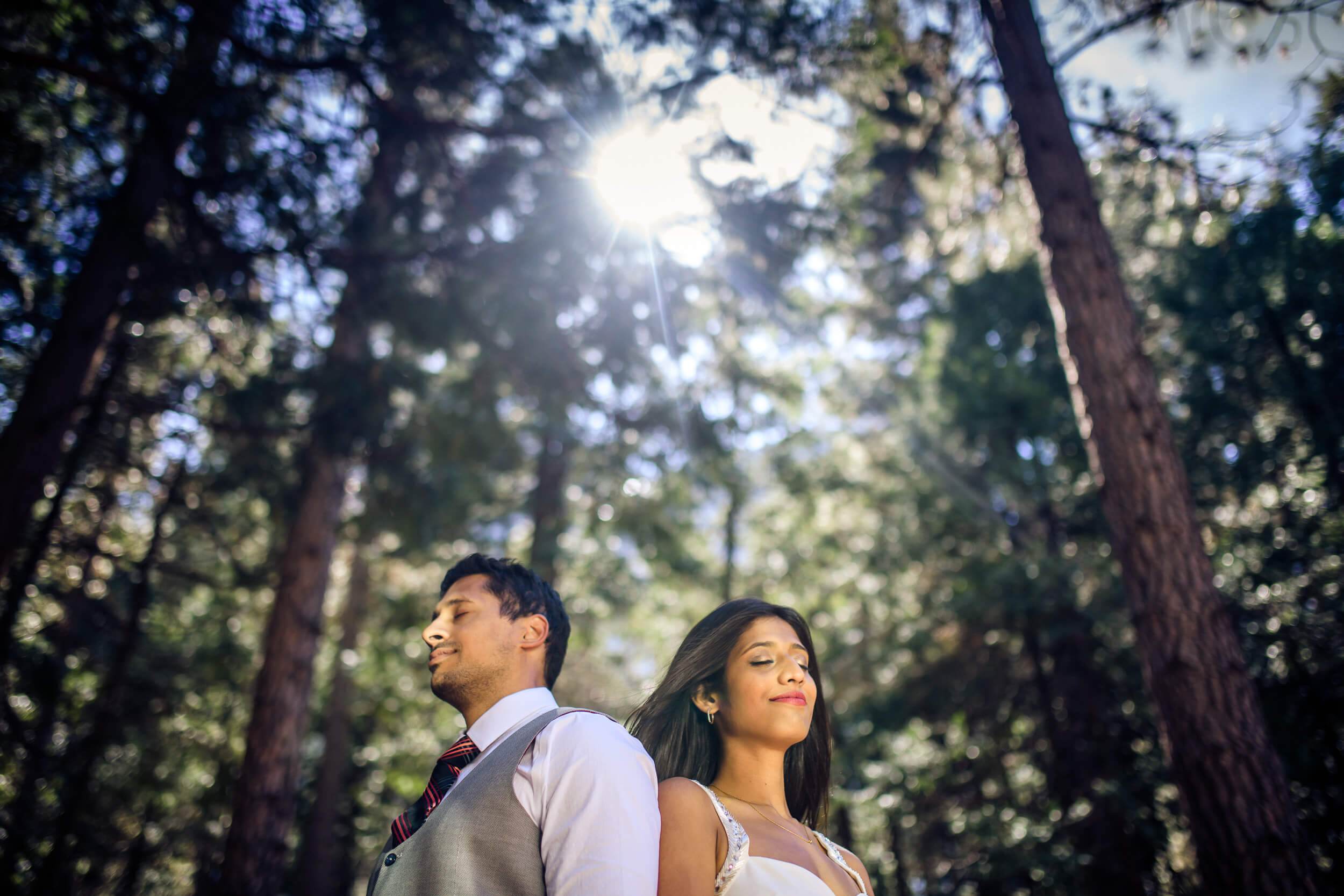 Anu and Raghu stand together under tall redwoods in dappled sunlight, looking upward in California