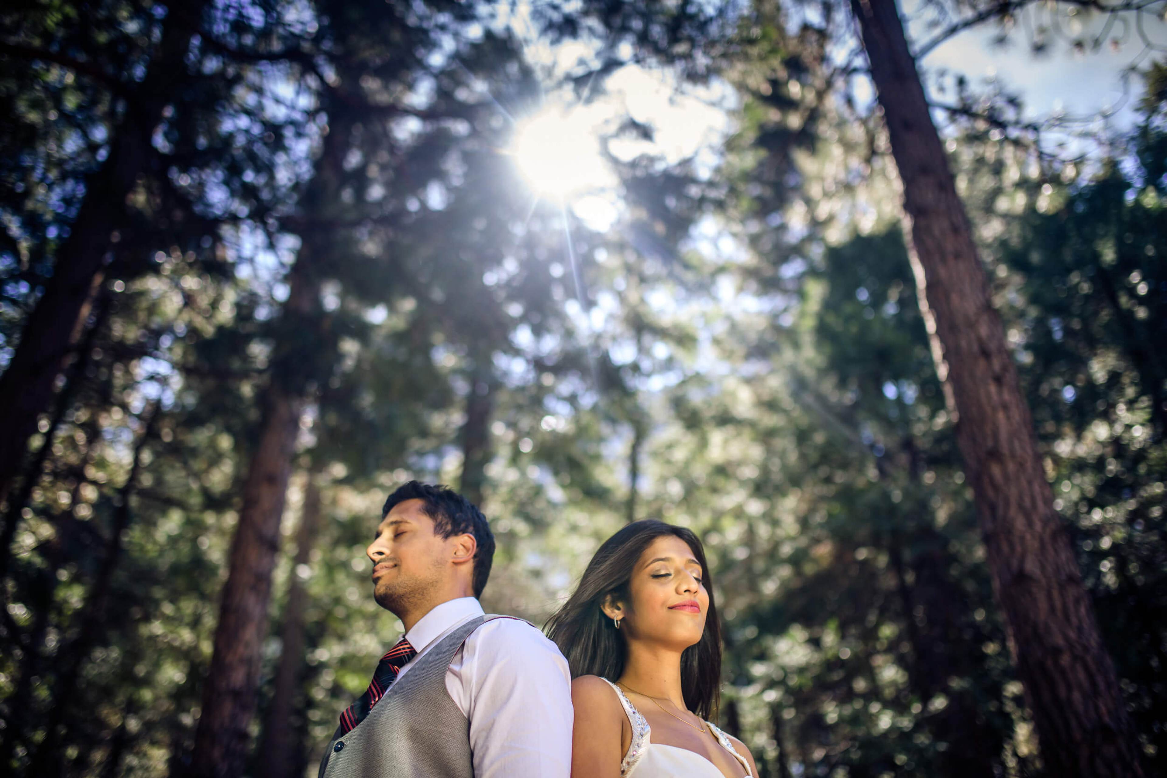 Anu and Raghu stand together under tall redwoods in dappled sunlight, looking upward in California