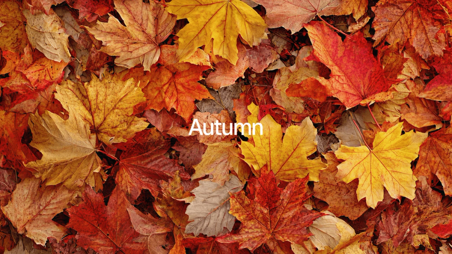 Macbook Wallpapers 2026 — Seasonal Pack
