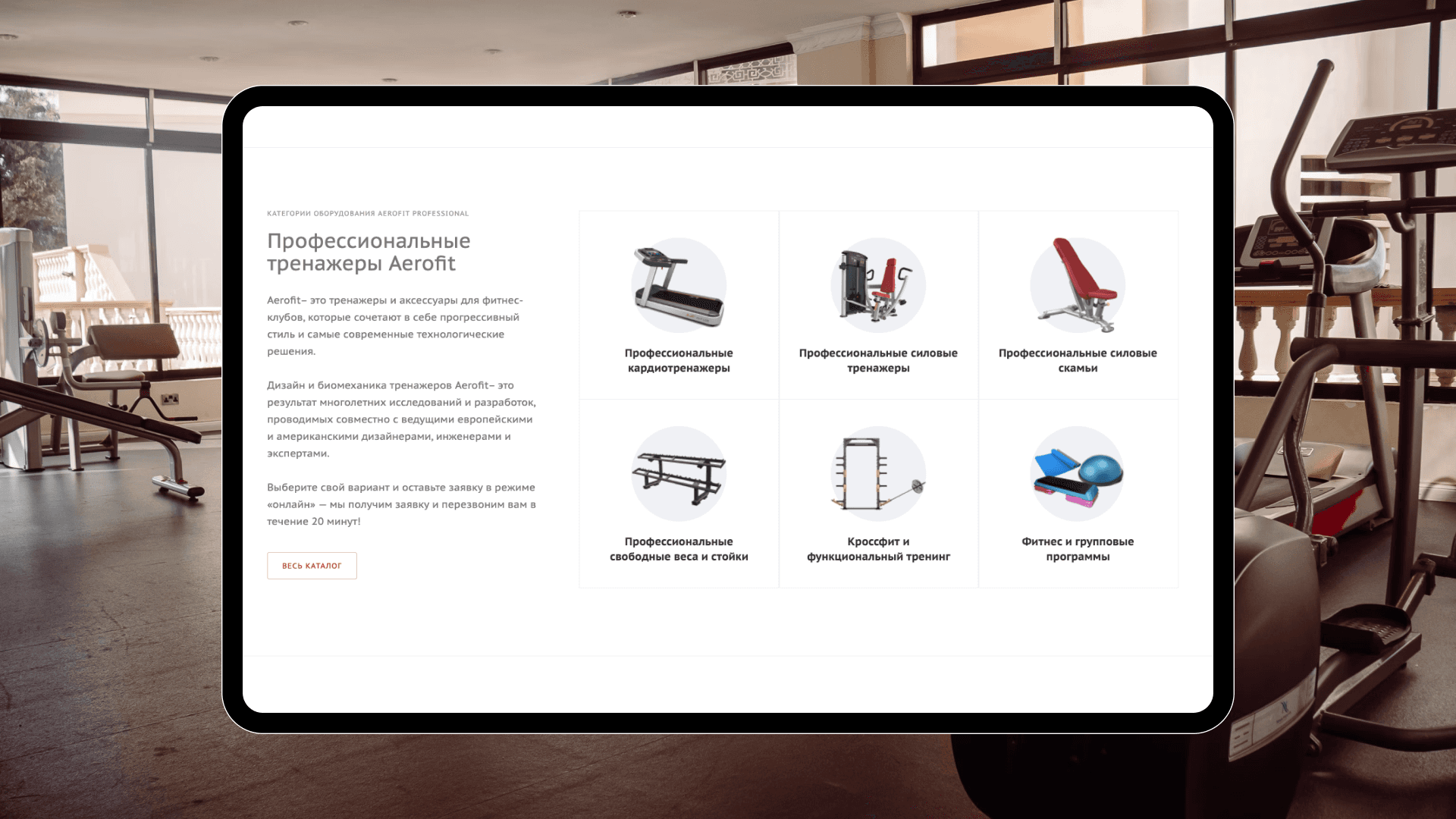 Aerofit Russia image 1