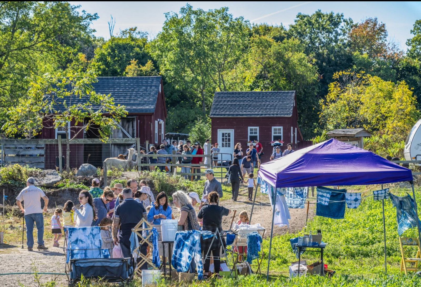 Lex Farm Harvest Fest flyer