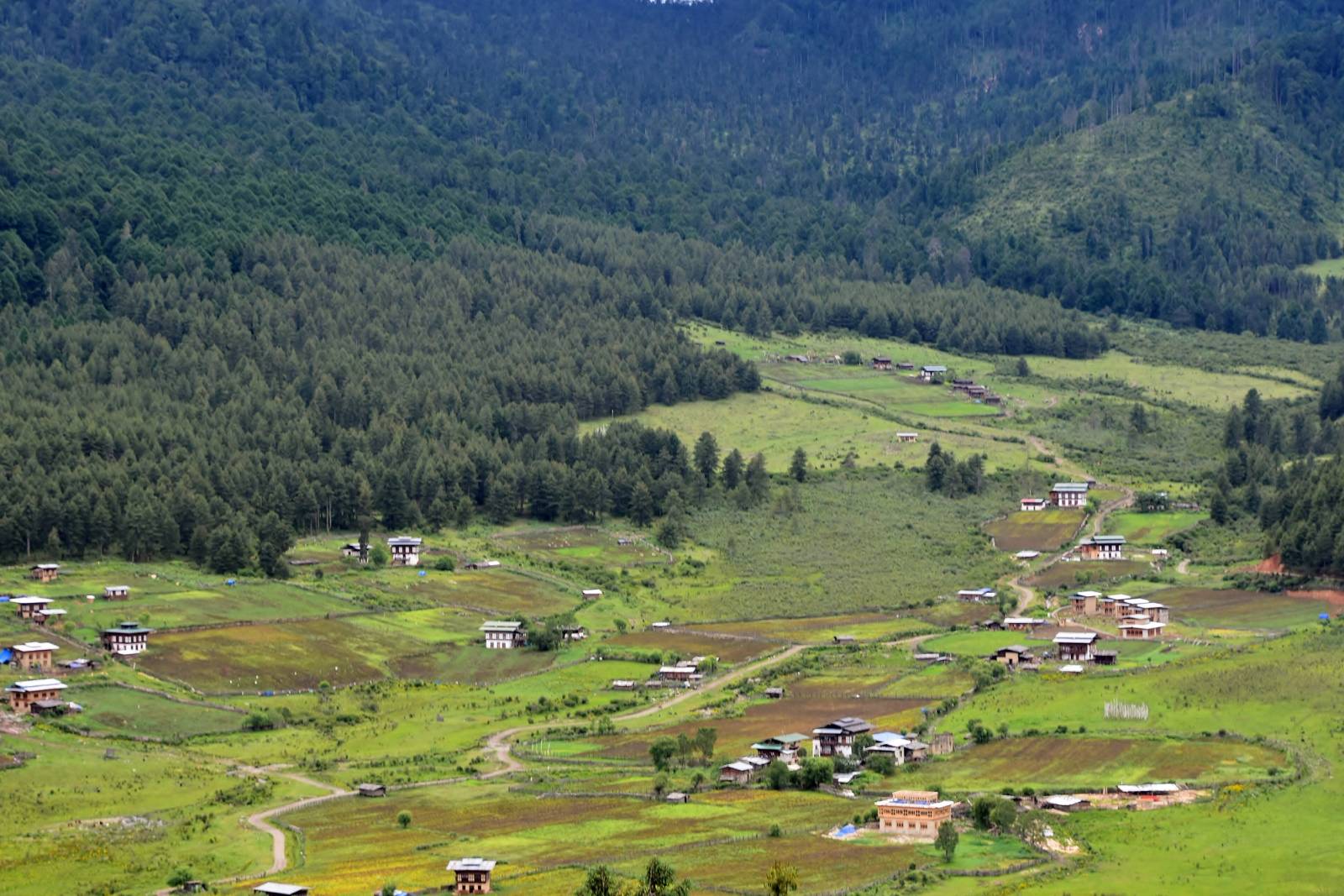 Farmhouses and fields scattered across the wide, green Phobjikha Valley below pine-covered hills