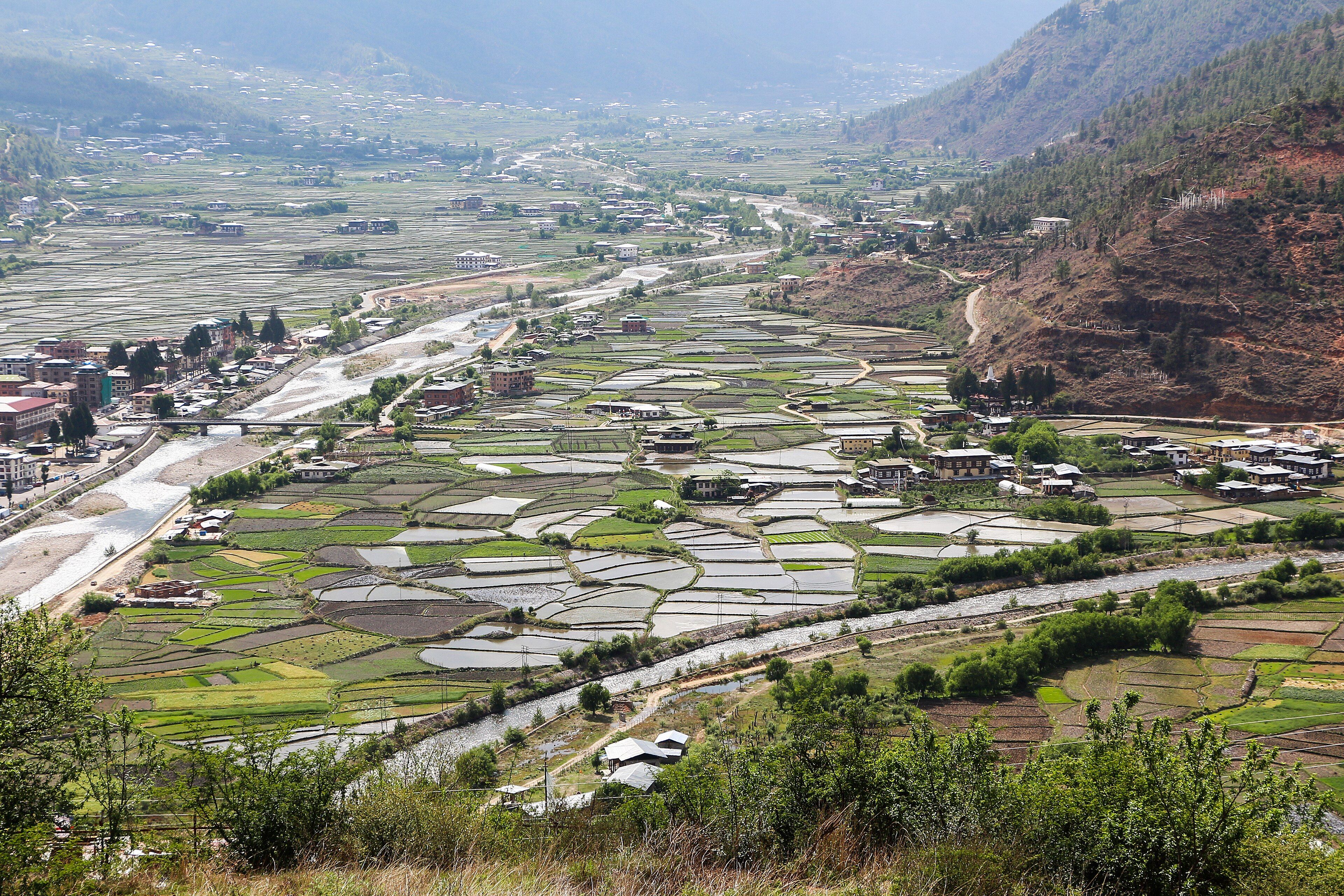 The Paro valley seen from above, with the river winding past the town through a patchwork of flooded and green rice fields.