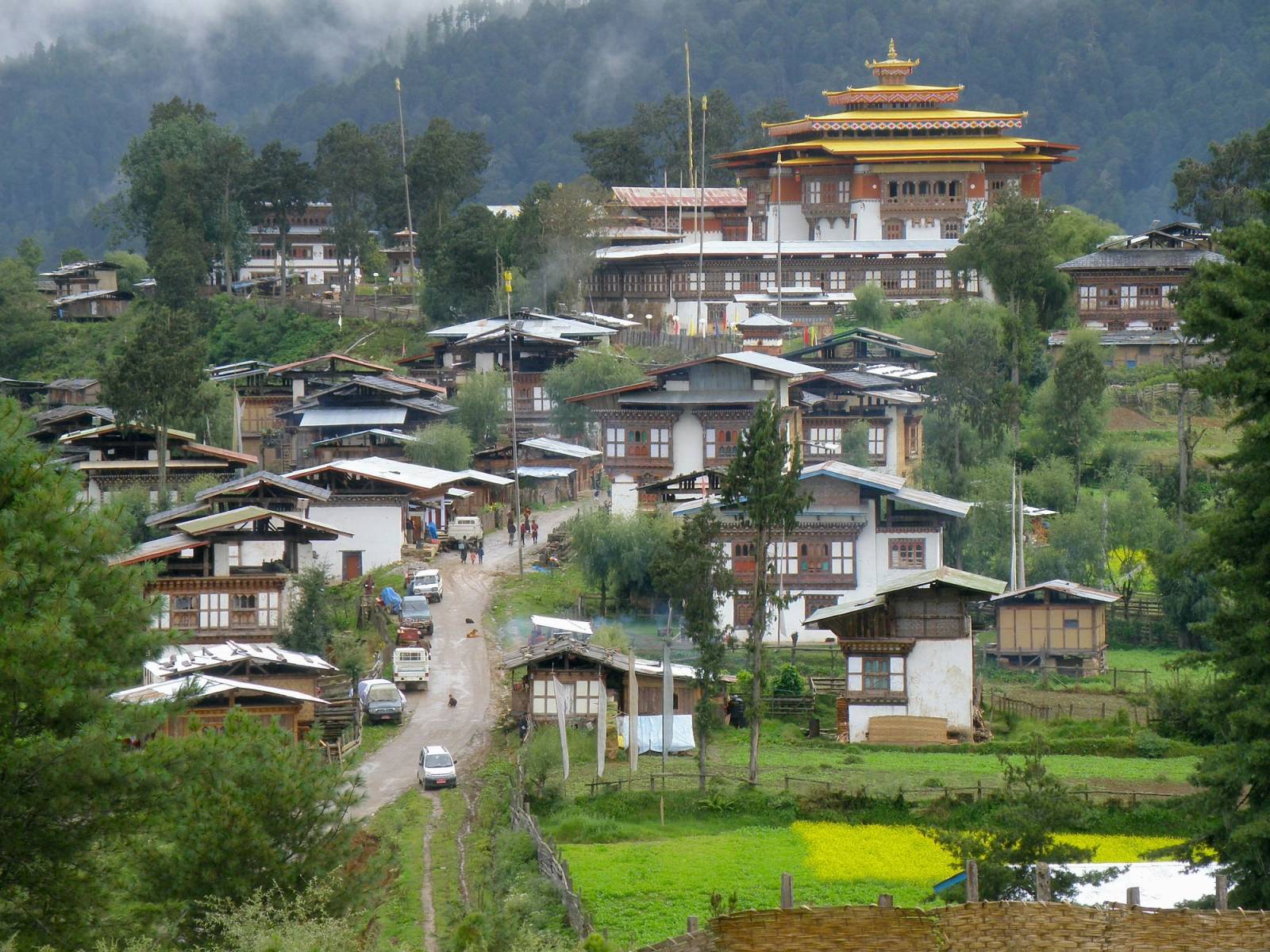 Gangtey Goenpa's golden roof rising above the village houses and fields of Phobjikha