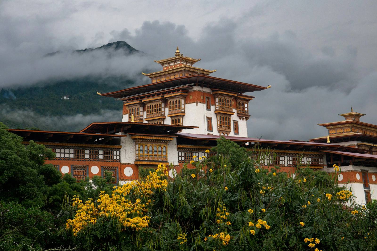 The tiered tower of a dzong behind yellow-flowering shrubs, with low cloud on the hills