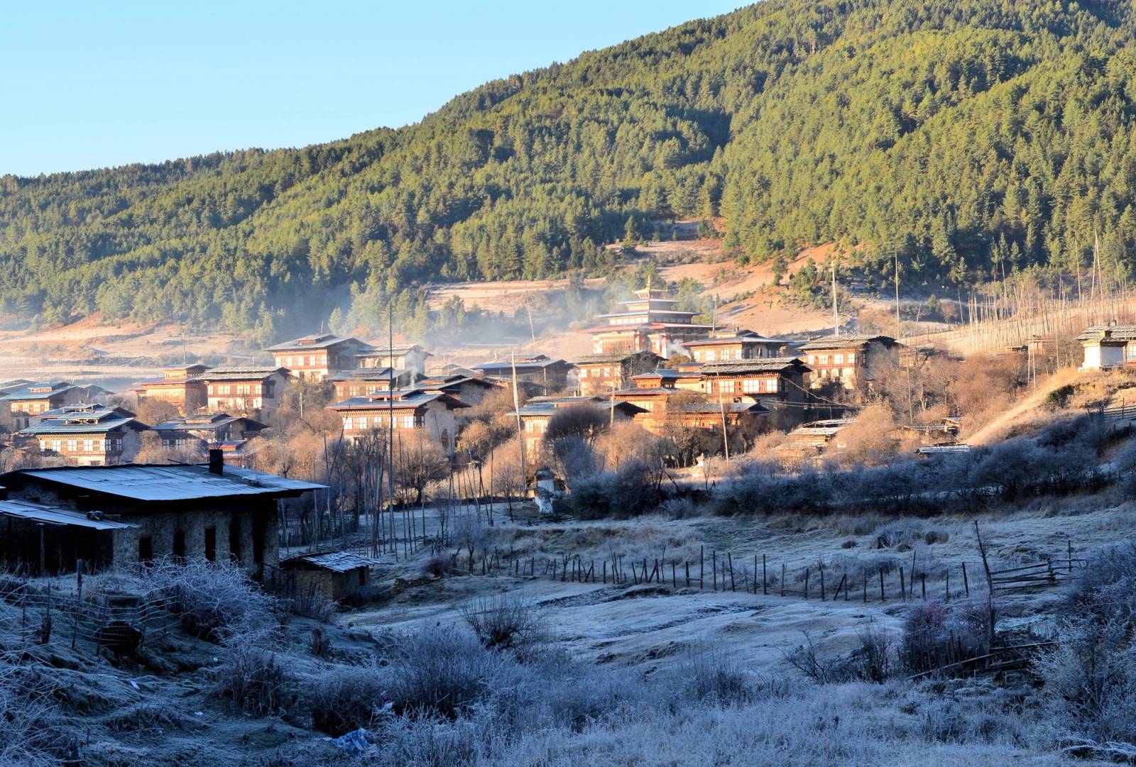 The farmhouses and temple of Ura village on a frosty morning, with pine-covered hills behind