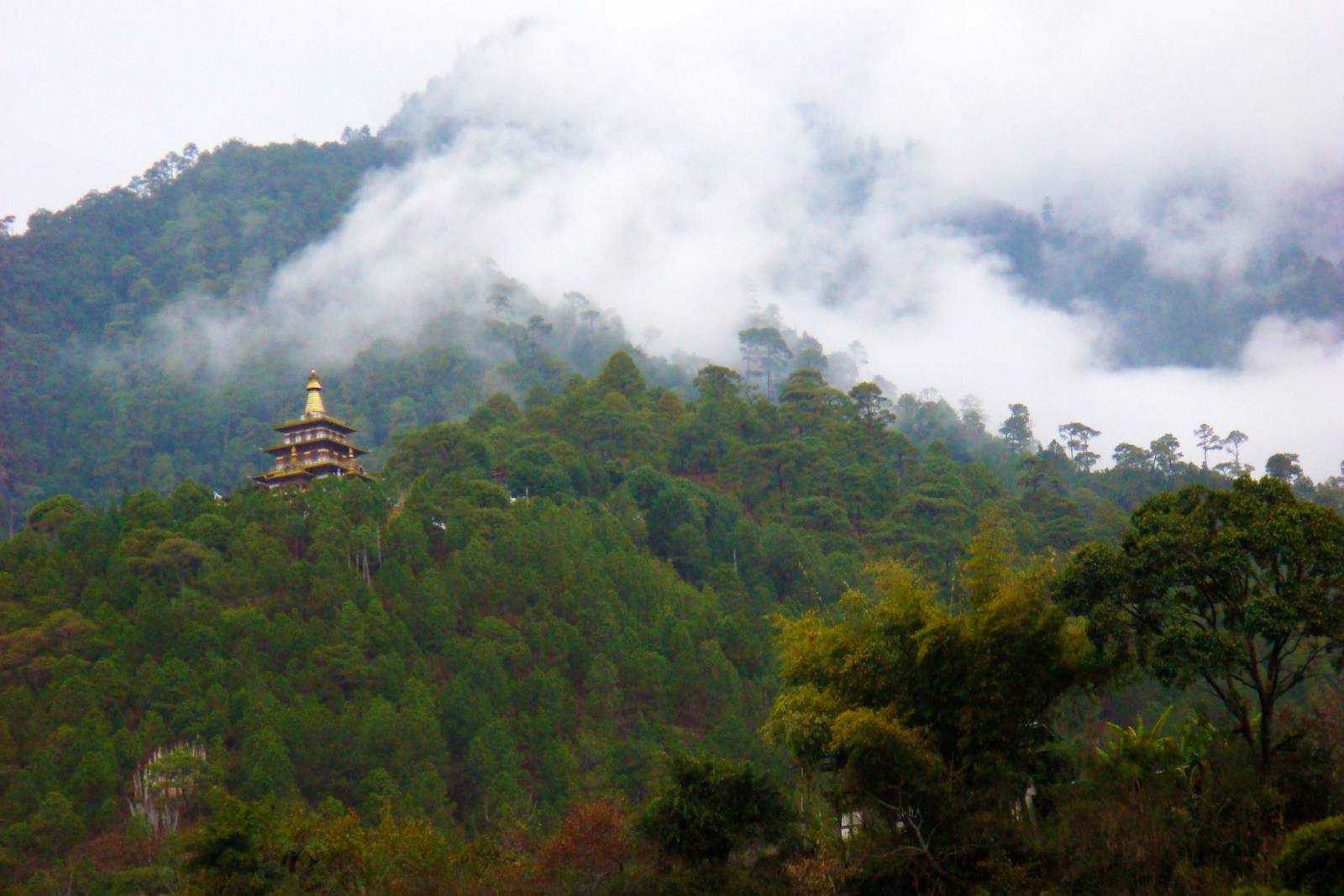Khamsum Yulley Namgyal Chorten on its forested ridge, with cloud lifting off the hills behind