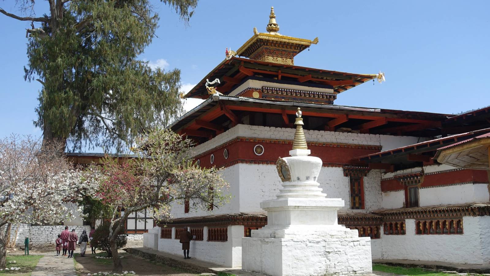Kyichu Lhakhang with its golden roof, a white chorten and spring blossom in front