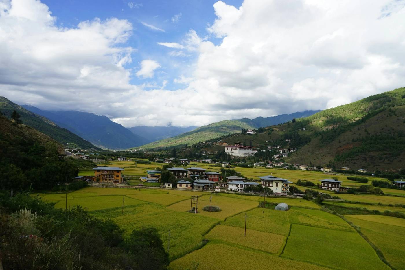 Green rice paddies and farmhouses across the Paro valley under big white clouds