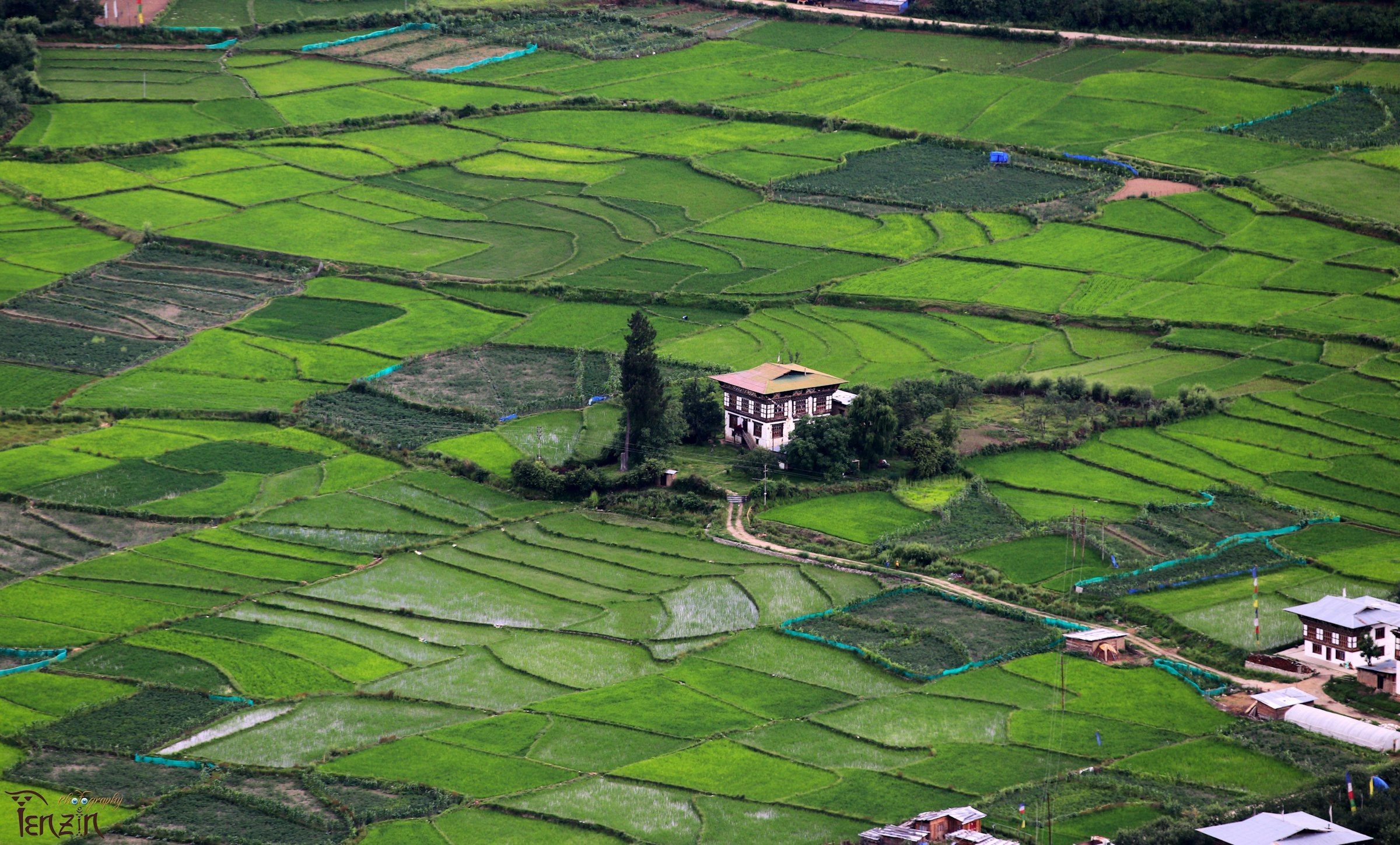 A farmhouse among rice terraces in a Bhutanese valley