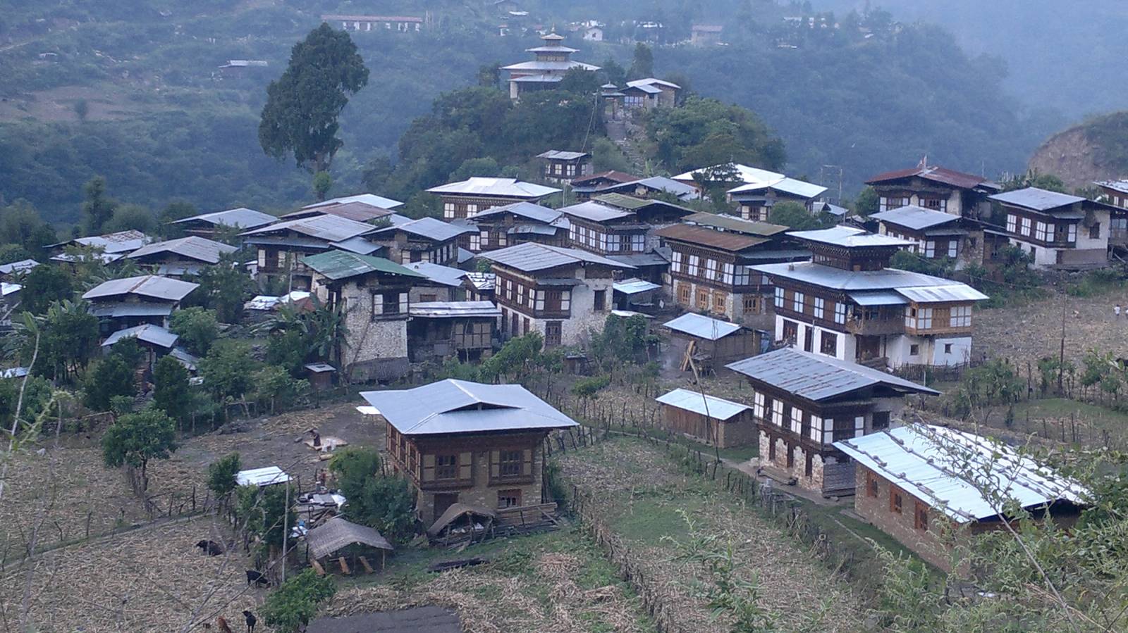 Khoma village in Lhuentse, timber-framed houses with tin roofs spread across a hillside