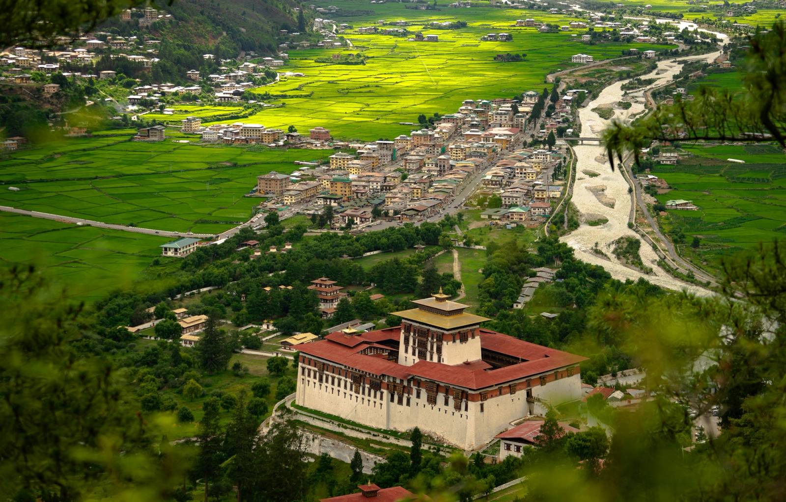 Rinpung Dzong above Paro town, the river and bright green rice fields