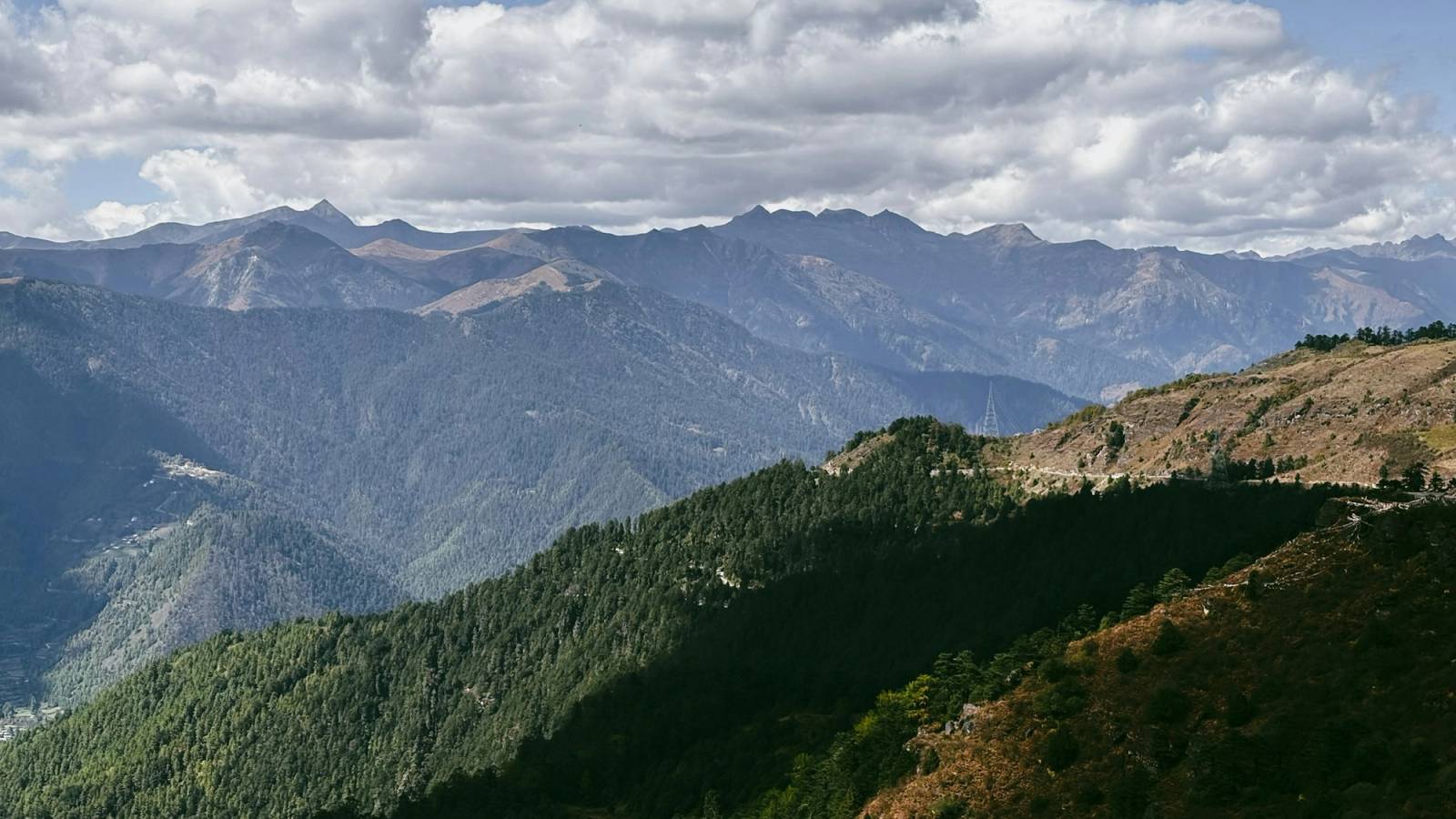 Layered mountain ridges and pine forest under a cloudy sky