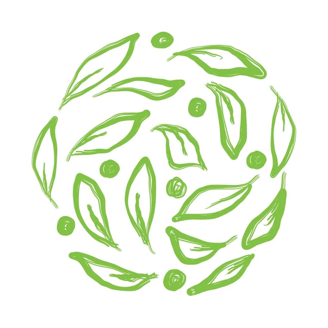 Close view of the Nature Roots leaf-sphere icon, a circle drawn from many distinct leaf sketches.