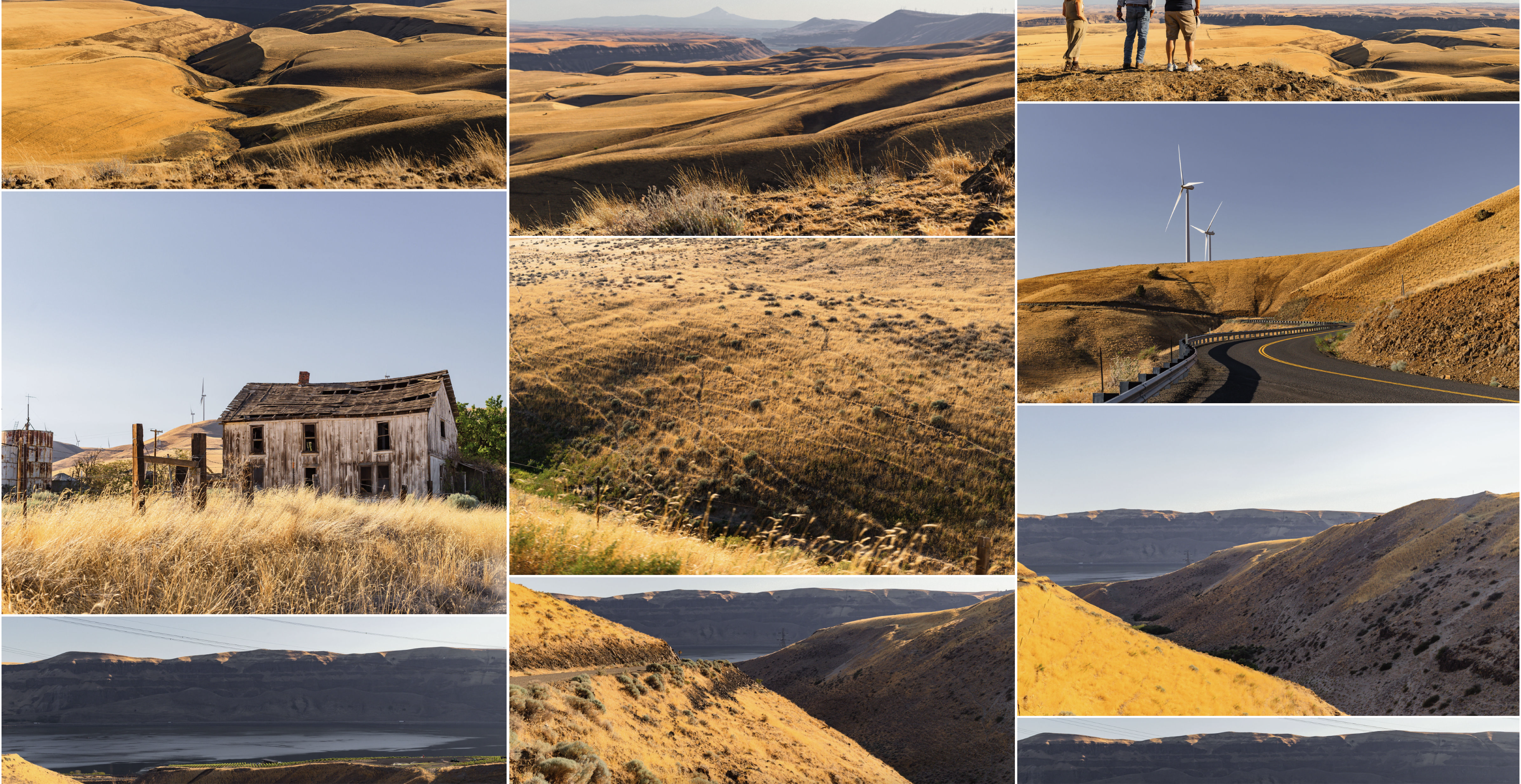 grid of images from the imrie cellars land