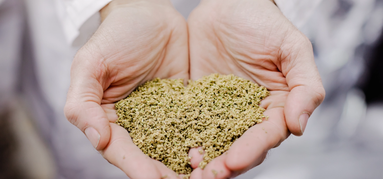 RollPros Advanced Cutsheet