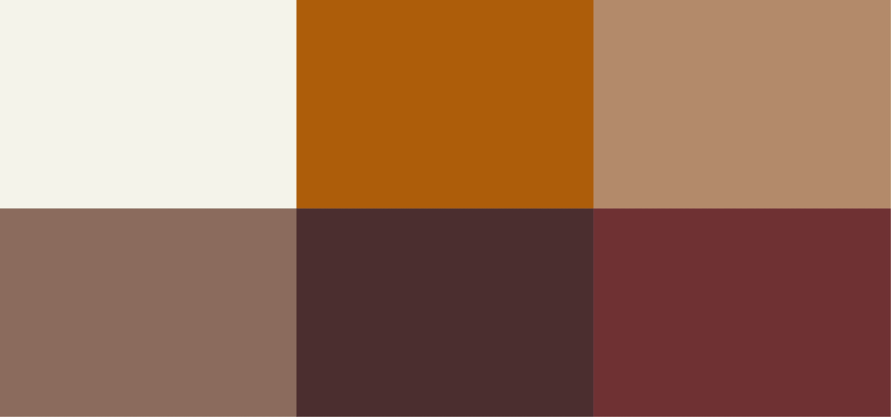 Vancouver Wellness Studio Colors