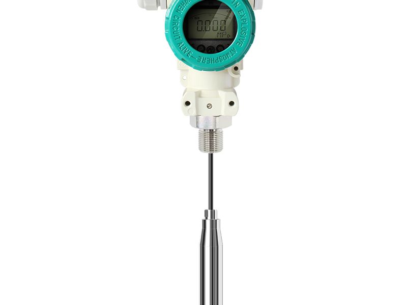 Smart hydrostatic level transmitter with display head
