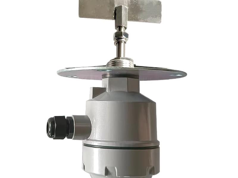 Rotary Paddle Level Switch product photo