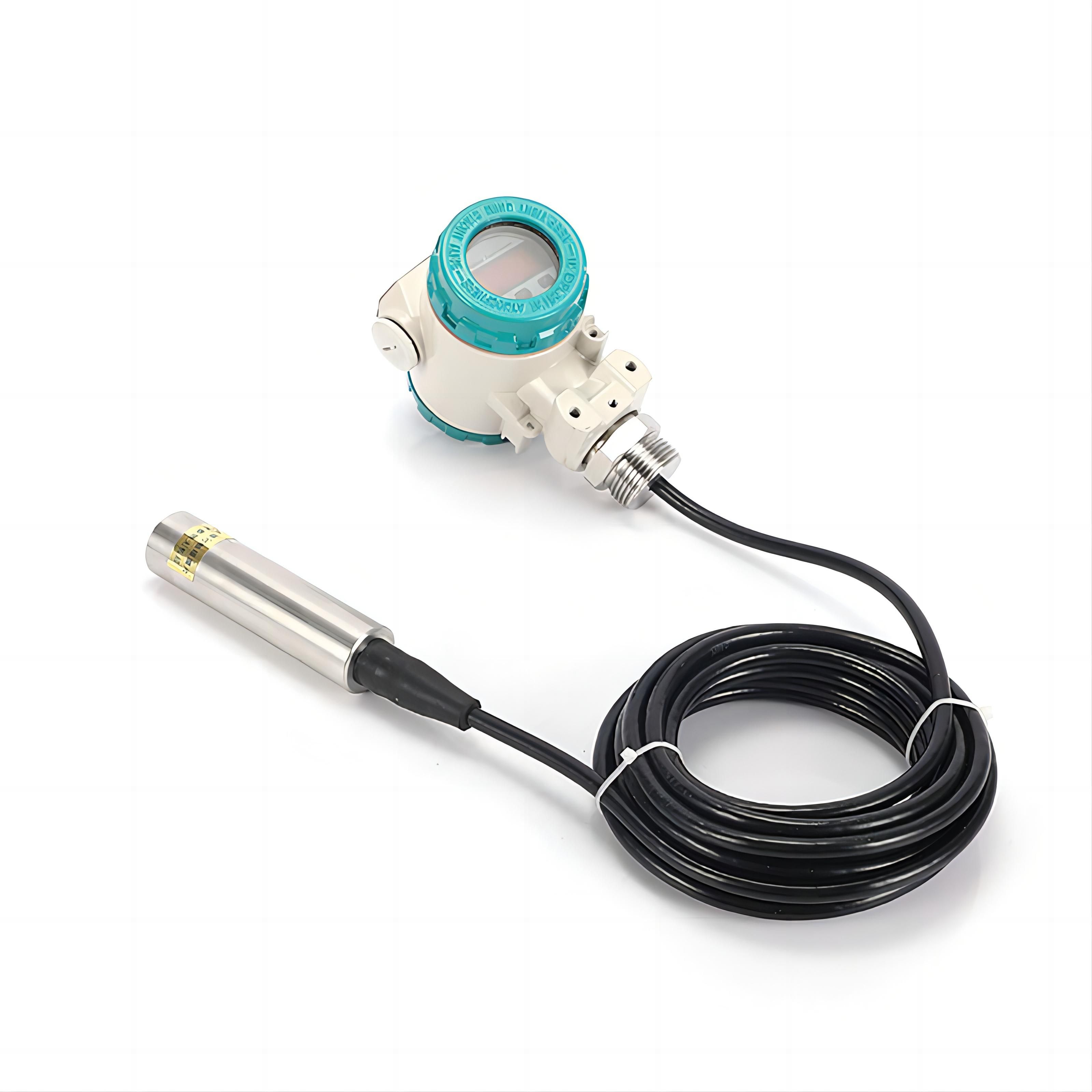 Submersible hydrostatic level transmitter with display package