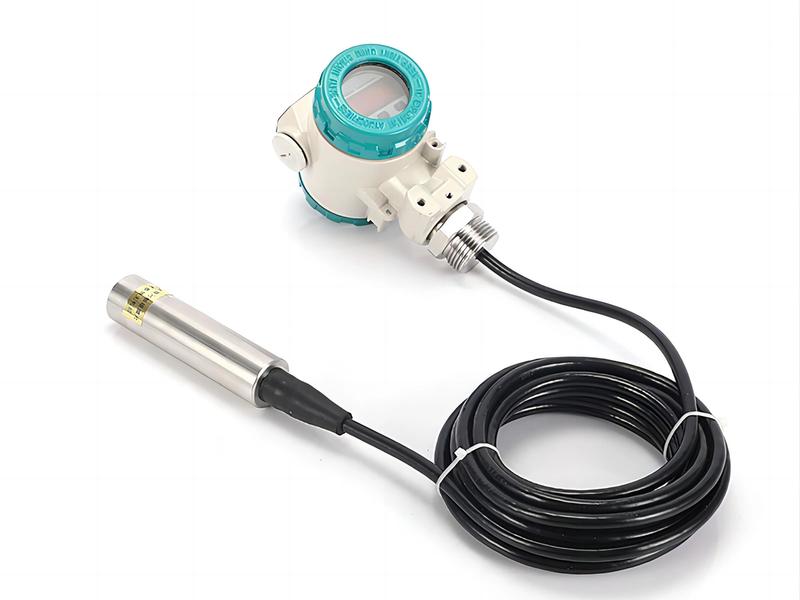 Submersible hydrostatic level transmitter with display package