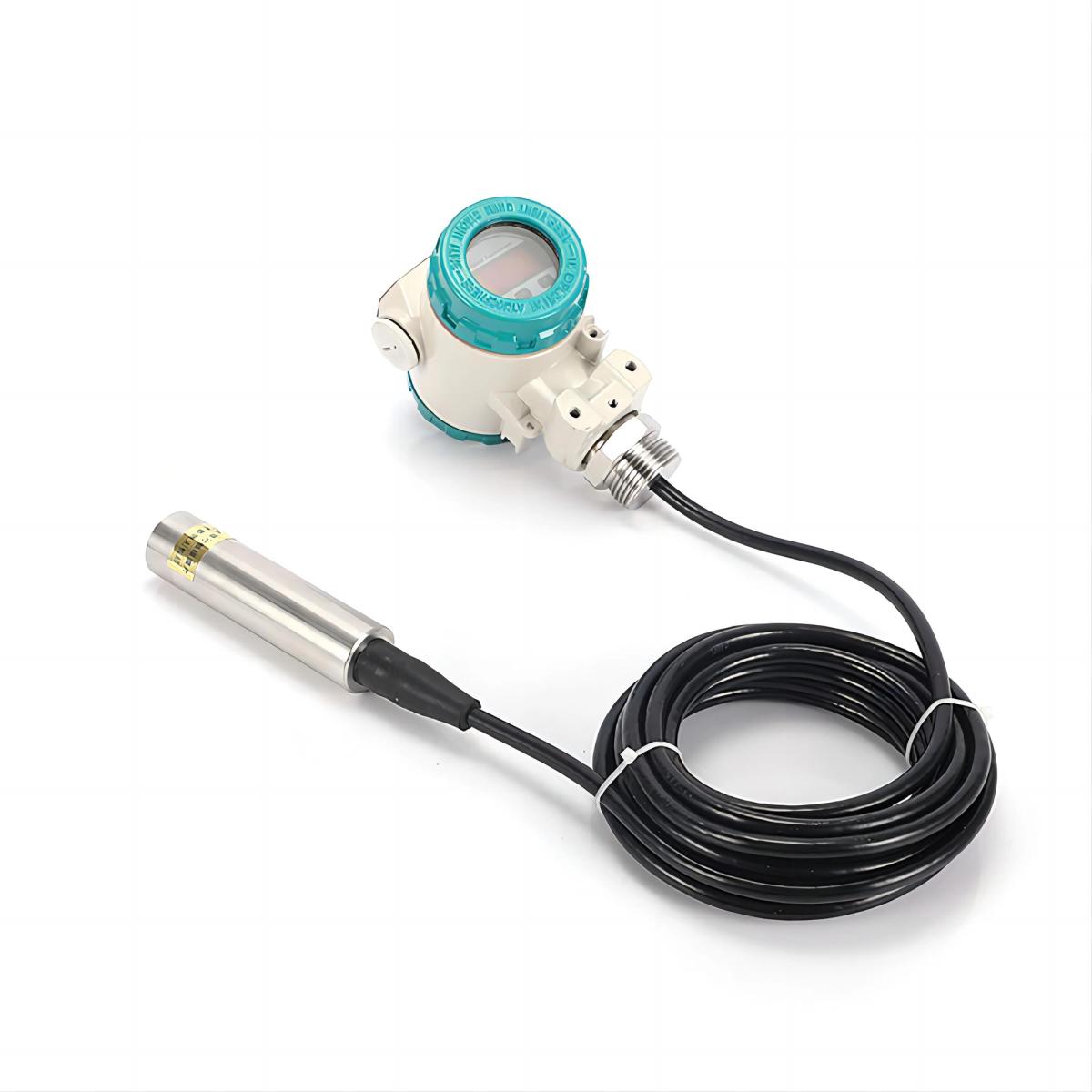 Submersible hydrostatic level transmitter with display package